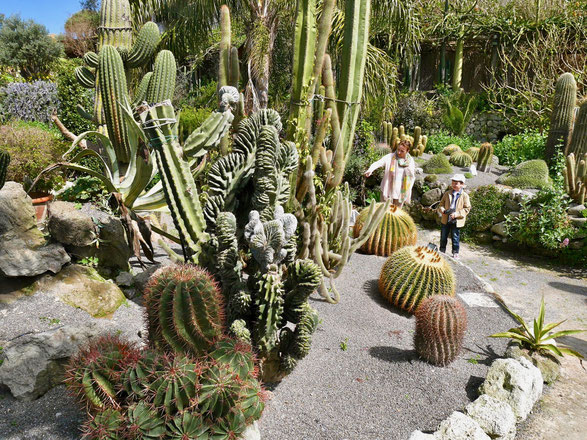 Gartenreise Italien, Kakteengarten auf Ischia