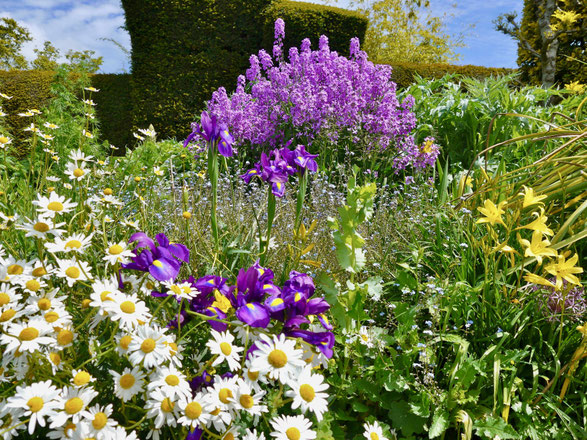 England Gartenreise Great Dixter