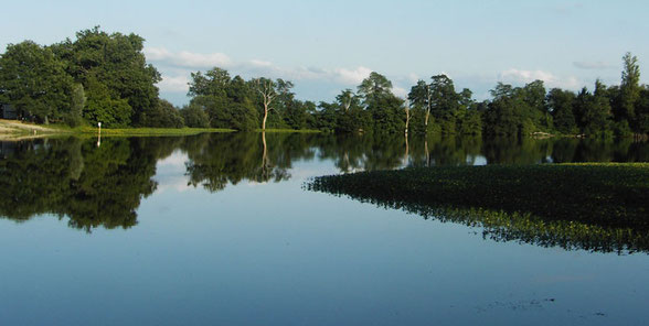 orthe, moulin, peyrehorade, landes, aquitaine, peche, lamproie, adour, gave, arthous, cagnotte, sorde, barthes, radelage, alose, saumon, port de lanne, couralin, hastingues,  tilhole, galupe