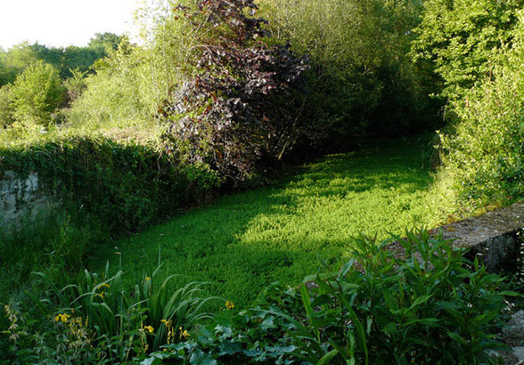 orthe, moulin, peyrehorade, landes, aquitaine, peche, lamproie, adour, gave, arthous, cagnotte, sorde, barthes, radelage, alose, saumon, port de lanne, couralin, hastingues,  tilhole, galupe