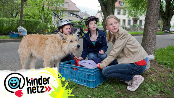 Bekanntheit als Film-Hund - Berger Picard Hündin Lucy