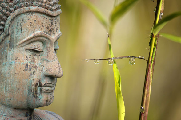 TCM - Akupunkturpraxis Beier, München-Laim - Buddha