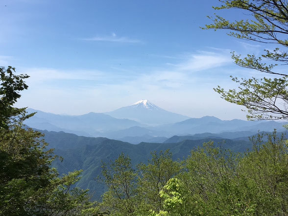 オサモミ整体院 ウォーキング・富士山