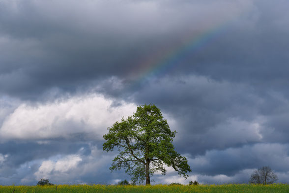 Fotografie Beate Kosmale Landschaftsfotografie