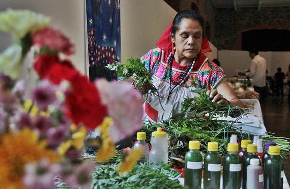 Resultado de imagen para medicina tradicional mexicana