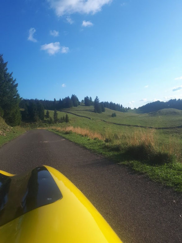 Die Kuhweidestrecke. Für mich definitiv eines der Highlights des Brevets (und von Veloland Schweiz) 🙂