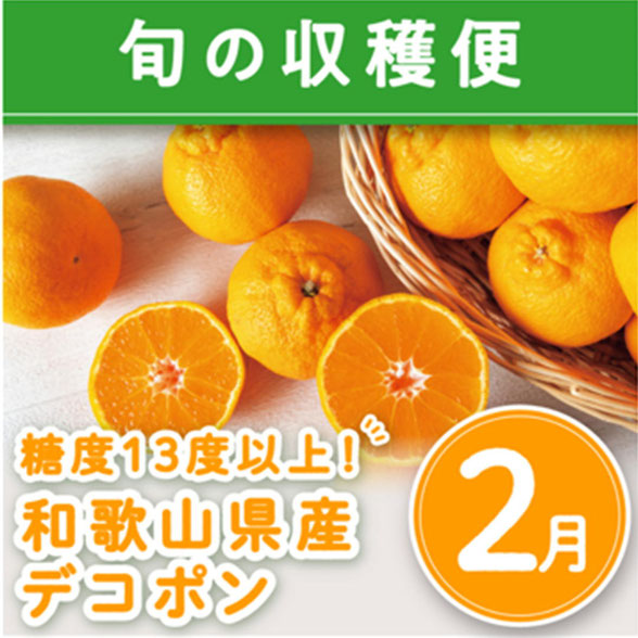 和歌山県「デコポン」