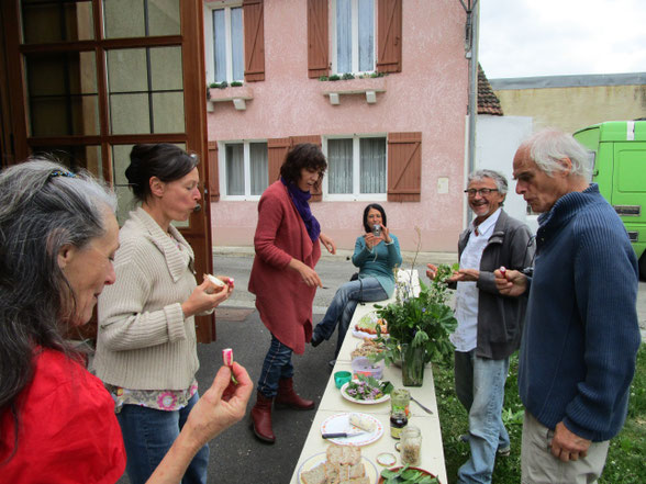 Atelier dégustation de cuisine sauvage après une petite balde nature entre nous