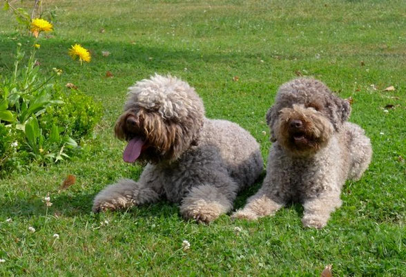 Quirin und Ronja