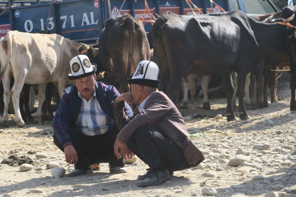 Combien pour ma vache?