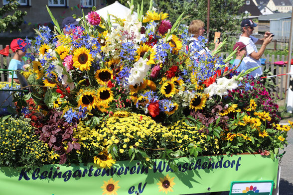 Bild: Wünschendorf Erzgebirge Wagen Kleingartenverein