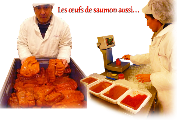 pays d’Orthe, Peyrehorade, Landes, Aquitaine, Barthouil, saumon, fumage, alose, caviar, aulne, pêche, adour, gave