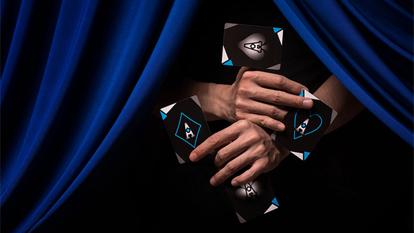 Cardistry Fanning Playing Cards / カーディストリー・ファンニング