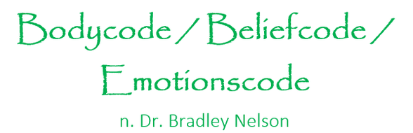 Bodycode Emotionscode Beliefcode nach Dr. B. Nelson