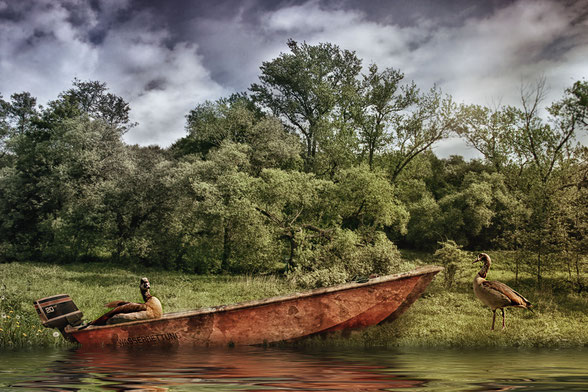 nilgaense-im-rettungsboot