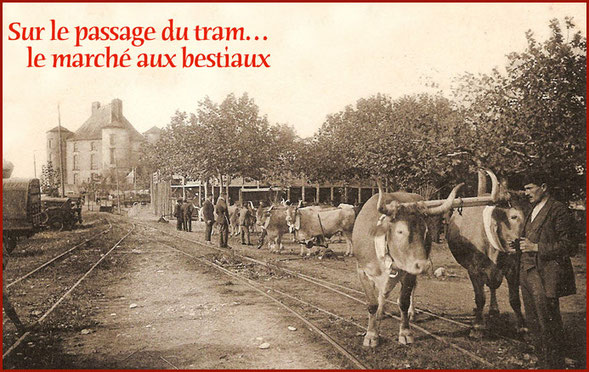 orthe, peyrehorade, landes, aquitaine, dax, gave, adour, arthous, cagnotte, sorde, pardies, saumon, alose aspremont, montreal, diane, st martin, quai du roc, sablot, igaas, nauton truquez, tramway