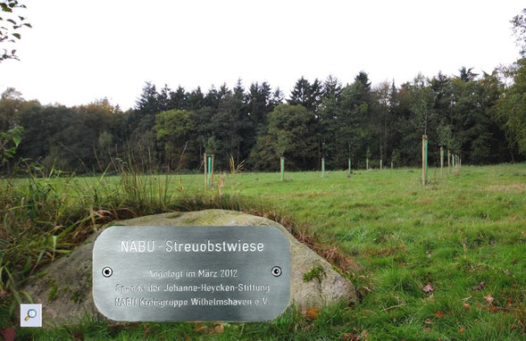 Die neu angelegte Streuobstwiese im Jahr 2012