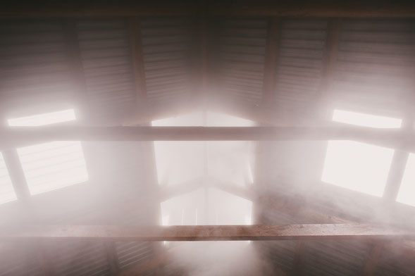 Sweet and steamy in the sugar camp.