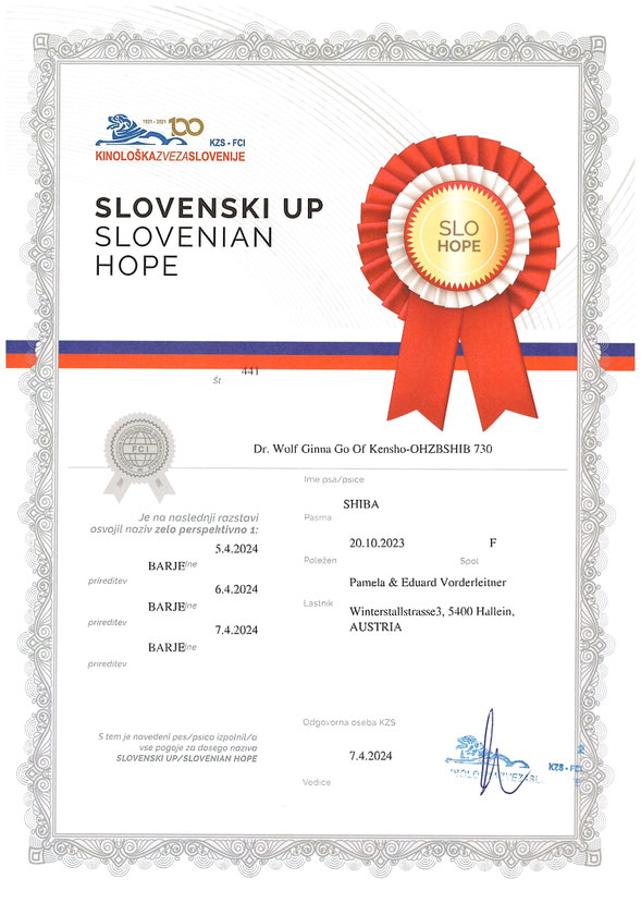 Welpen Champion Slowenien Shiba