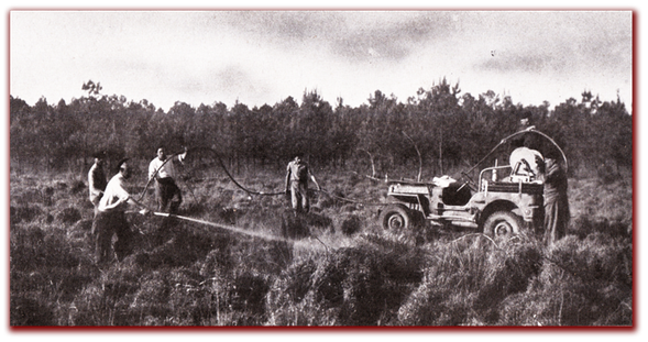 orthe, feu, foret, incendie, pignada, mirador, prevention, landes, aquitaine, etigny