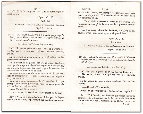 orthe, inondation, peyrehorade, landes, aquitaine, peche, lamproie, pyrenees, gave, arthous, adour, sorde, barthes, radelage, alose, saumon, port de lanne, couralin, hastingues,  tilhole, galupe