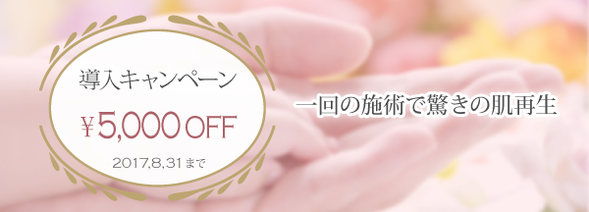 ビオフィートキャンペーン5000円オフの25000円8月31日まで