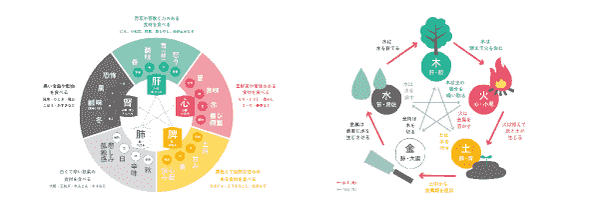 はじめての東洋医学・イメージ図