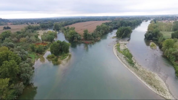 Fig.1 - Confluence Garonne Ariège, vue du ciel vers l’amont (Garonne à droite)