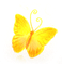 Schmetterling Icon