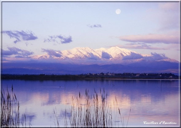 le canigou