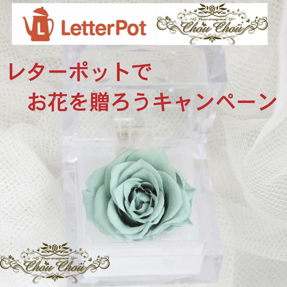 レターポット　お花　贈る　キャンペーン　プリザーブドフラワー　薔薇　ターコイズブルー