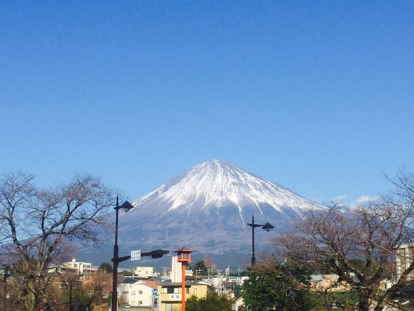 浅間本宮大社　鳥居　初詣　富士山　出店　