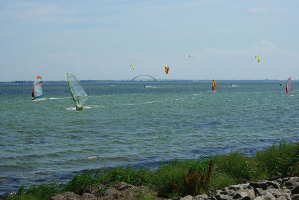 Surfer und Kiter in der Bucht von Orth 