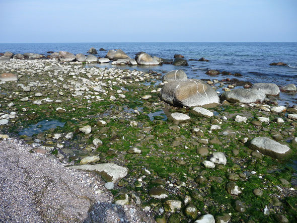 Strand von Katharinenhof