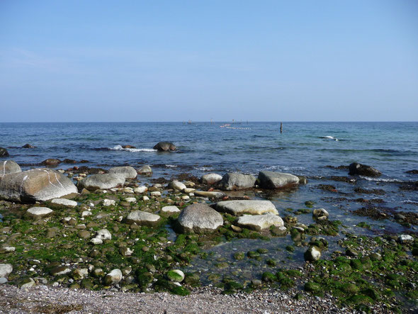 Strand von Katharinenhof