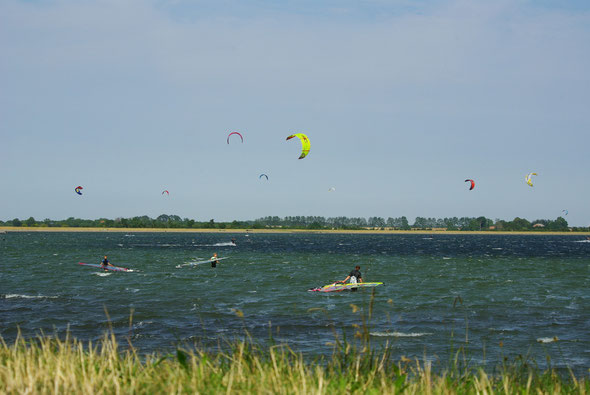 Surfer und Kiter in der Bucht von Orth 