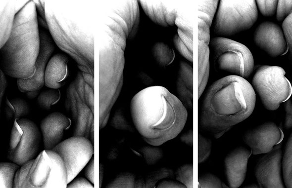 38\finger_eng_2012 | digitale Fotografie | 235 g Fotopapier | je 100 x 50 cm | 2012