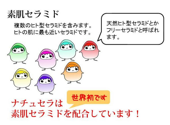 素肌セラミド。天然かつヒト型であり、複数のセラミドを含む。非常にヒトの肌に近いセラミドである。