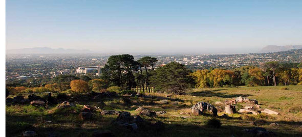 View South East from the Rhodes Memorial Approach with planting of European pine and oak woodland, Newlands rugby stadium, the suburb of Claremont with False Bay beyond.