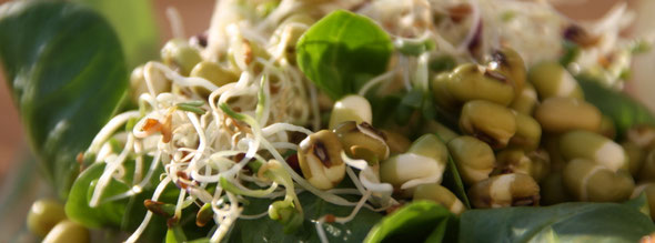 Germinations