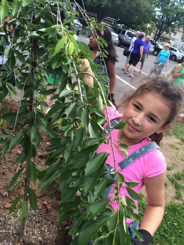 Children were enjoying planting trees and eager to see the cherry blossoms in next spring.