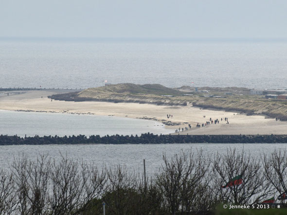 Dune eilandje naast Helgoland, met heel veel zeehonden