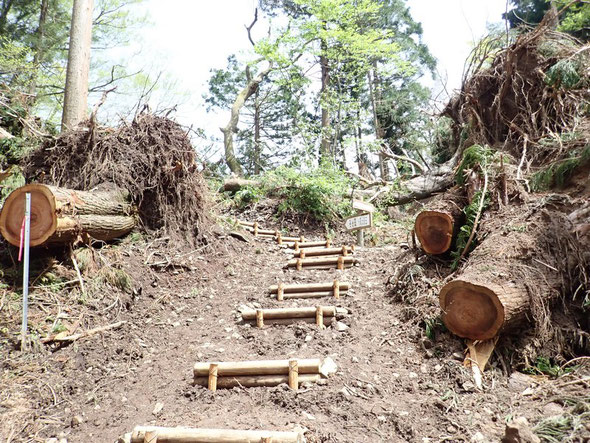 この急坂の登山道も階段を付け替え、元通り安心して登れるようになった。