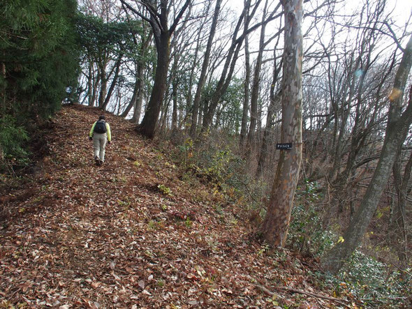 尾根をしばらく歩くともうすぐそこが山頂・・・登山口から１５～２０分程度です。