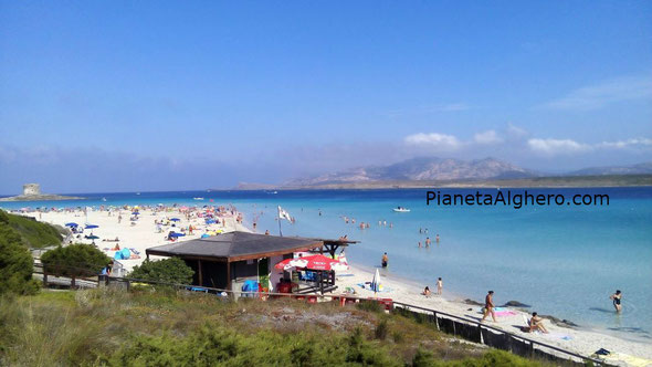 Tutte Le Spiagge Di Stintino Spiaggia Della Pelosa