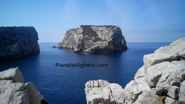 Nella foto L'Isola Piana, Cala della Barca.