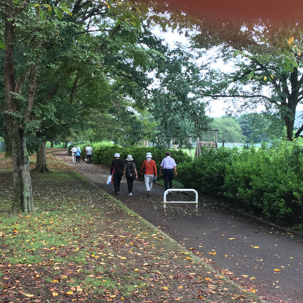 オサモミ整体院 ウォーキング 福生南公園