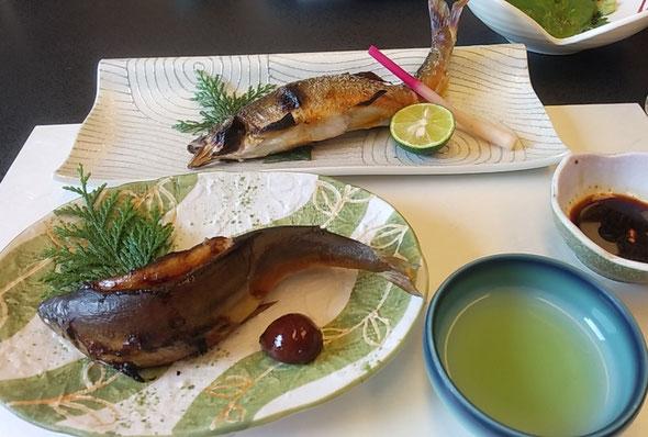 兵庫や岡山からも来て落鮎の店で傘寿のクラス会が開かれました。　　　　　　・落鮎の店で傘寿のクラス会(和良)