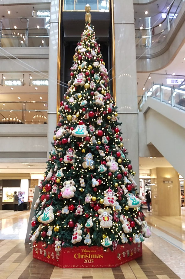 羽田空港の吹き抜けロビーには大きな聖樹がまぶしかったです。　　　　　　・空港の聖樹の何とまぶしかり(和良)