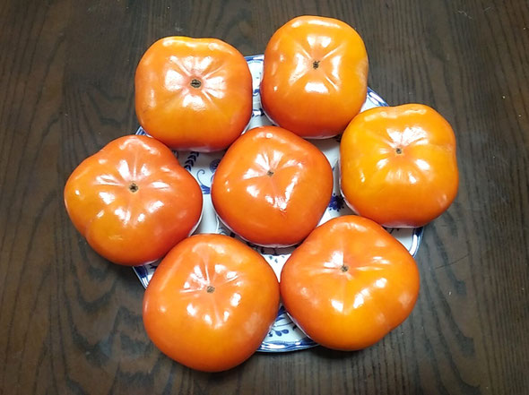 浜松市のヤマハ技術研究所に勤務していた時の上司から柿が届きました。　　　・見事なる柿が昔の上司より(和良)